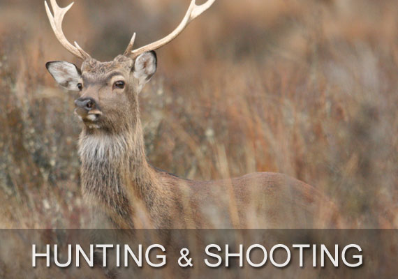 Hunting Shooting & Fishing Store - Rivers to Ranges